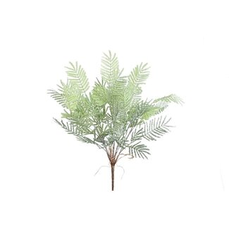 PTMD Fern Plant Moss Green fern bush large S PTMD Fern Plant Moss Green fern bush large S