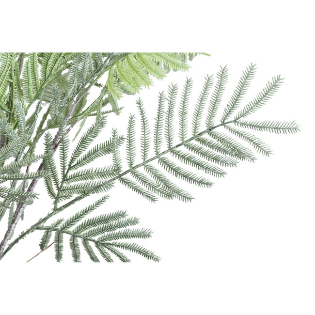 PTMD Fern Plant Moss Green fern bush large S