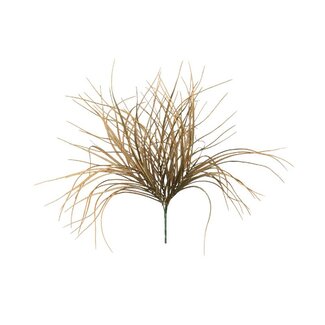 PTMD Leaves Plant Green Red air grass bush spray PTMD Leaves Plant Green Red air grass bush spray