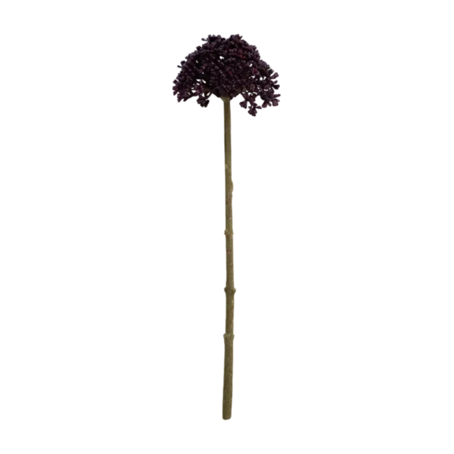 Colmore Flower Allium dark purple 29cm