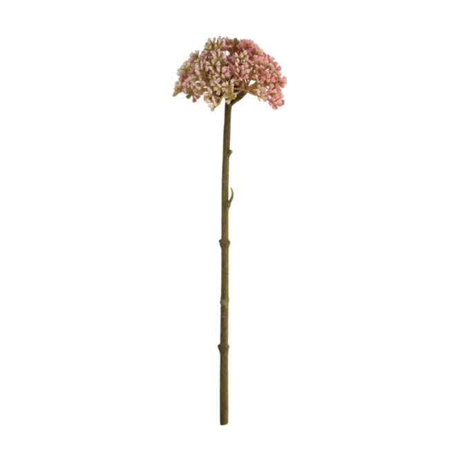 Colmore Flower Allium soft pink 29cm