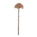 Colmore Flower Allium soft pink 29cm