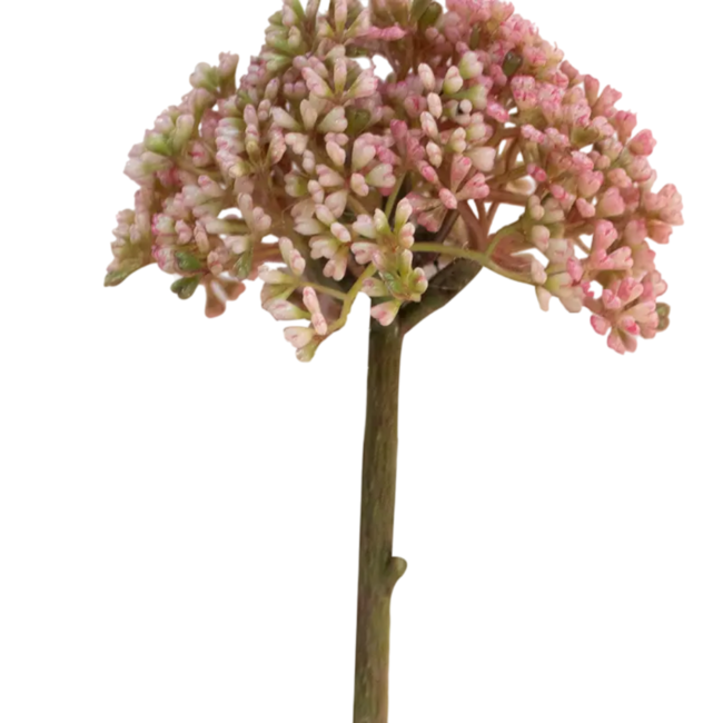 Colmore Flower Allium soft pink 29cm