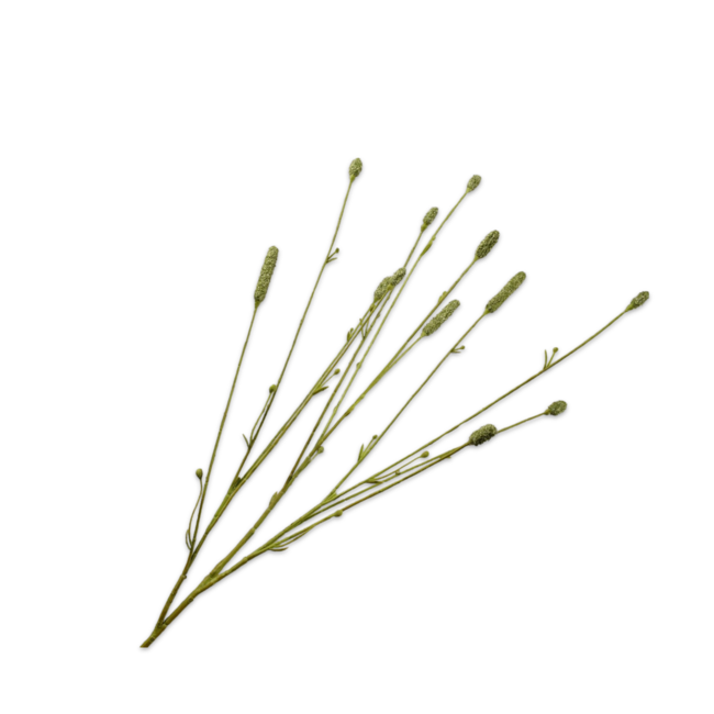 Silk-Ka PIMPERNEL TAK GROEN 84 cm