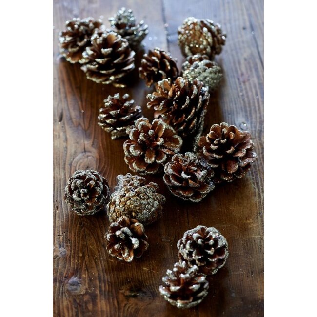 Riviera Maison Majestic Pinecones shiny silver