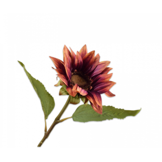 Silk-Ka ZONNEBLOEM STEEL PAARS 46 cm