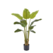 EDG Bananenplant met zwarte pot 120 cm