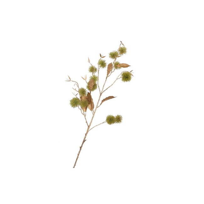 Silk Chestnut 106 cm
