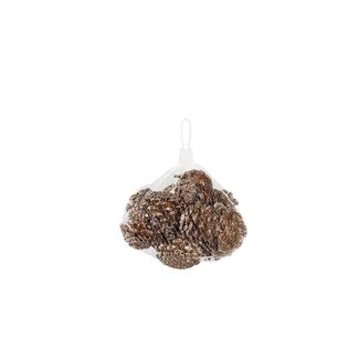 PTMD Phine Champagne pinecones in bag 11pcs PTMD Phine Champagne pinecones in bag 11pcs