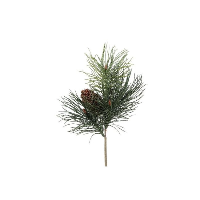 PTMD Twig Plant Green long needle pine w pinecones