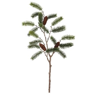 PTMD Twig Plant Green pine with pinecones PTMD Twig Plant Green pine with pinecones