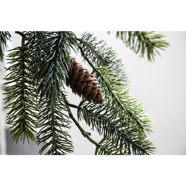 PTMD Twig Plant Green pine with pinecones