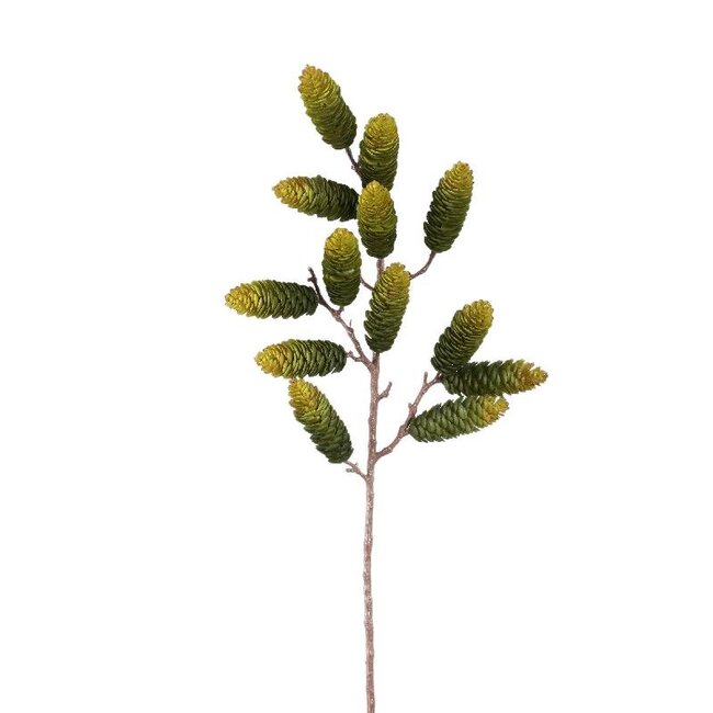 PTMD Twig Plant Green pinecone spray