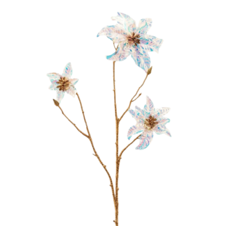 EDG Kerstster Reflex Tak - Goud Acryl 70cm