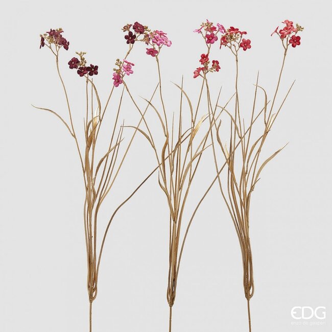 EDG Plumbago Stengel – Gold Bush met Blad, 75 cm