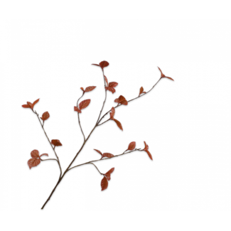 Silk-Ka BLADTAK BRUIN 116 cm