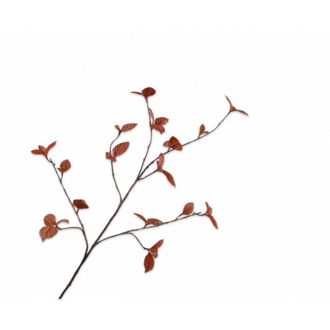 Silk-Ka BLADTAK BRUIN 116 cm