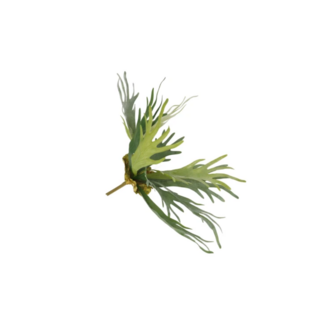 Silk fern staghorn green 51cm