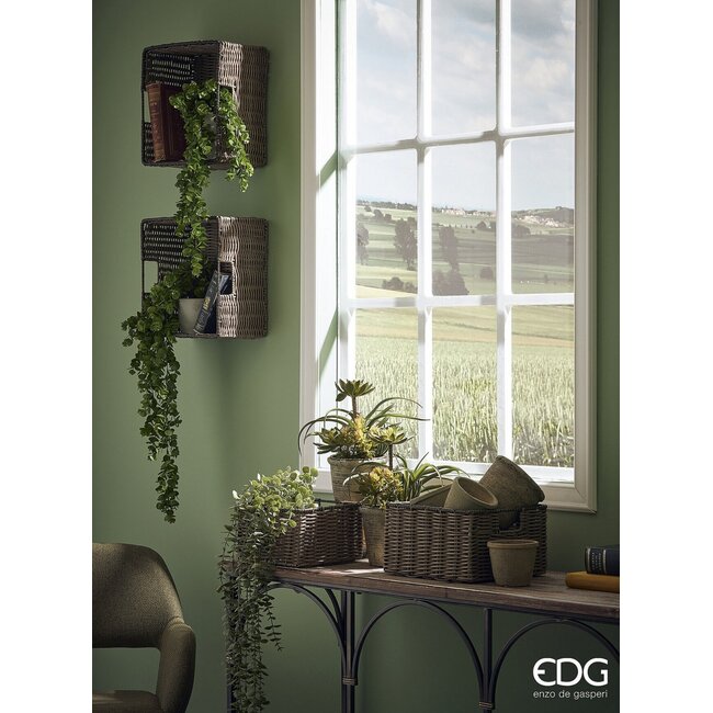 EDG Eucalyptus Bush – 105 cm