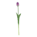Tulp paars/wit 47cm Tulp paars/wit 47cm