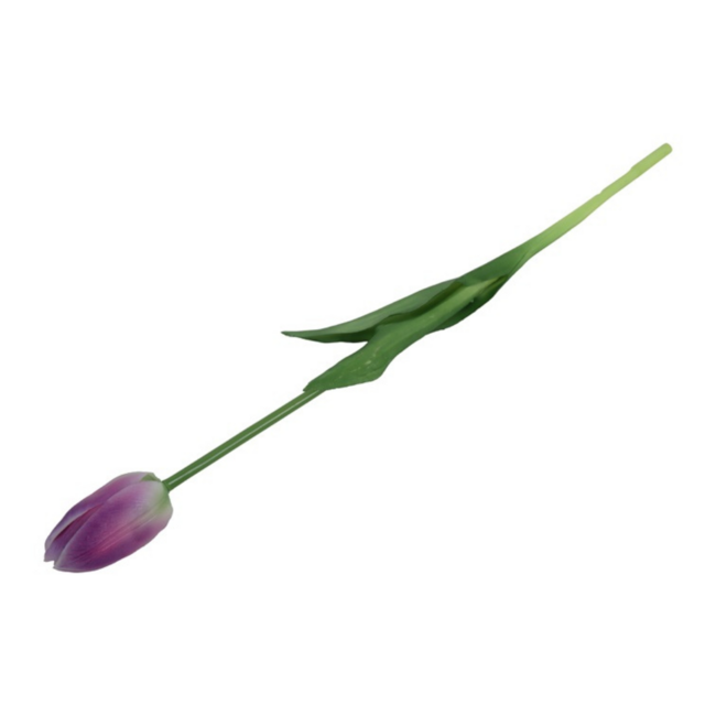 Tulp paars/wit 47cm