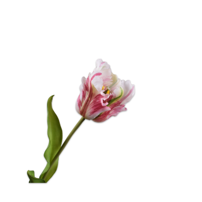 Silk-Ka TULP STEEL ROOD CREME RT 50 cm