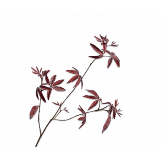 Silk-Ka ESDOORN TAK BORDEAUX 92 cm