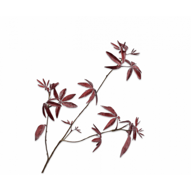 Silk-Ka ESDOORN TAK BORDEAUX 92 cm