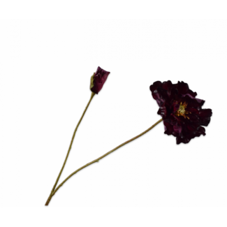 Silk-Ka KLAPROOS TAK BORDEAUX 74 cm