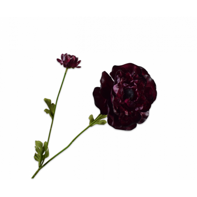 Silk-Ka RANONKEL TAK BORDEAUX RT 63 cm