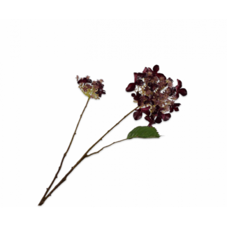 Silk-Ka HORTENSIA TAK BORDEAUX RT 71 cm