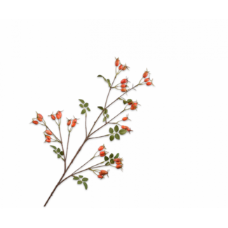 Silk-Ka ROZENBOTTEL TAK ORANJE 95 cm