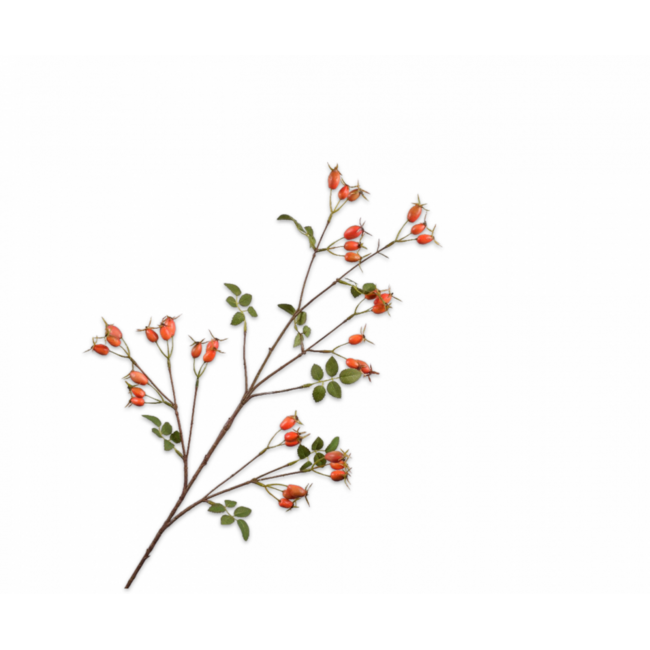 Silk-Ka ROZENBOTTEL TAK ORANJE 95 cm