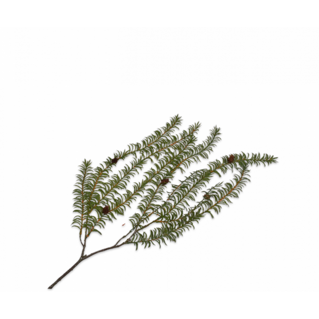 Silk-Ka NAALDTAK DEN GROEN 110 cm