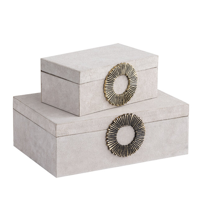 PTMD Hazael Beige suede box golden handle S