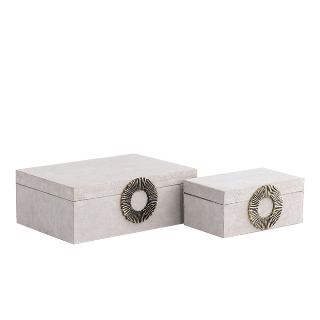 PTMD Hazael Beige suede box golden handle L