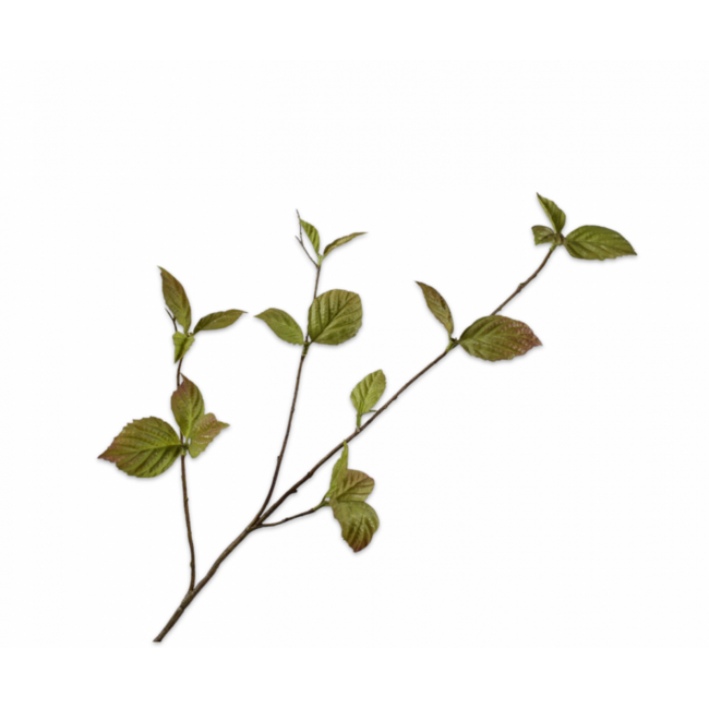 Silk-Ka CORYLUS TAK GROEN 85 cm