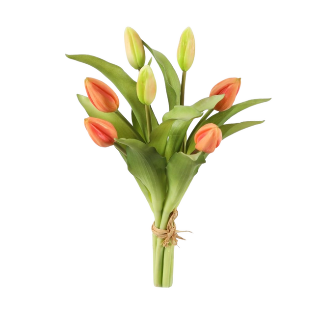 Tulip Bundle x7 – Kort bosje tulpen 32 cm zalm/koraal