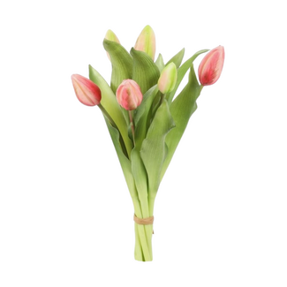 Tulip Bundle x7 – Kort bosje tulpen 32 cm Roze