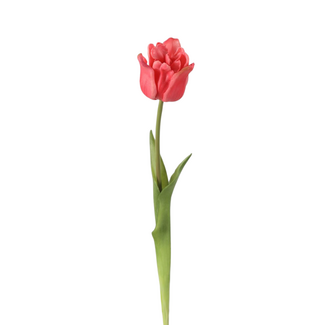 Single Tulip 47cm Roze / Fuchsia