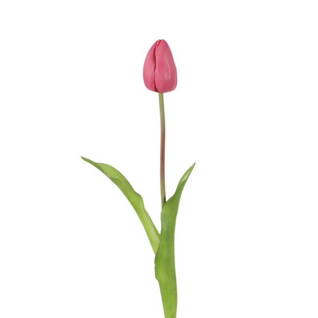 Single Tulip 46cm Roze / Fuchsia