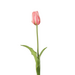 Single Tulip 50cm Roze / Fuchsia