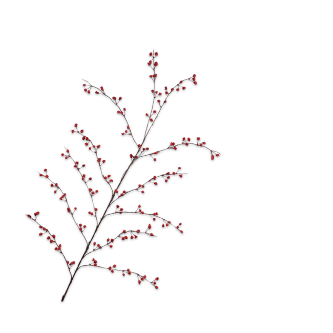 Silk-Ka BESSENTAK ROOD 137 cm