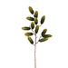 PTMD Twig Plant Green pinecone spray