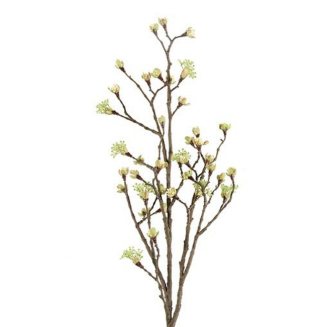 Esdoorn fruit tak Quince L Wit