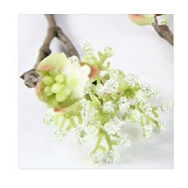 Esdoorn fruit tak Quince L Wit