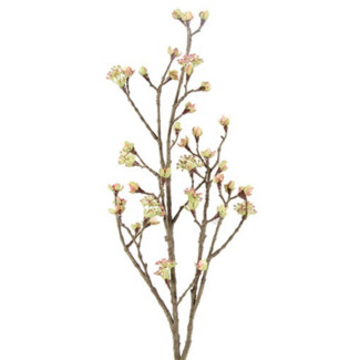 Esdoorn fruit tak Quince L Roze