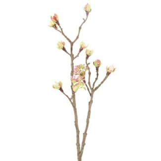 Esdoorn fruit tak Quince S Roze