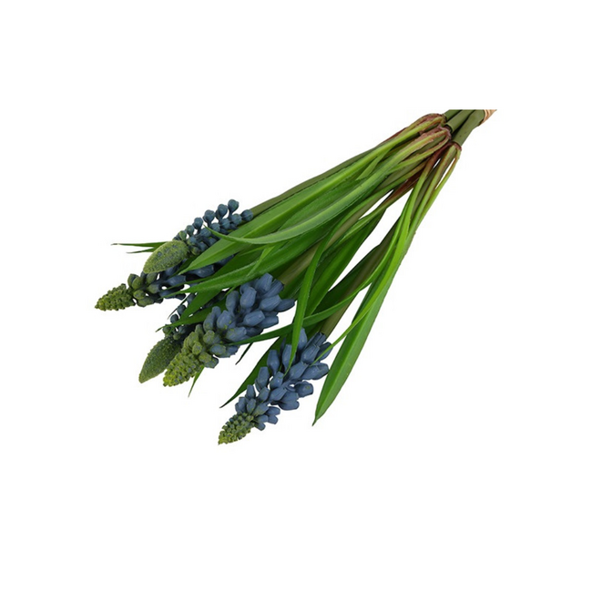 Kunst bundel Muscari blauw 26 cm