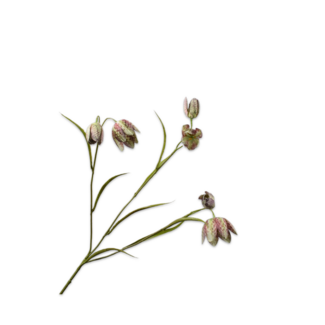Silk-Ka FRITILLARIA TAK GROEN 64 cm